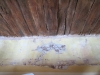 IMG_0459 IMG_0459