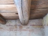 IMG_0462 IMG_0462